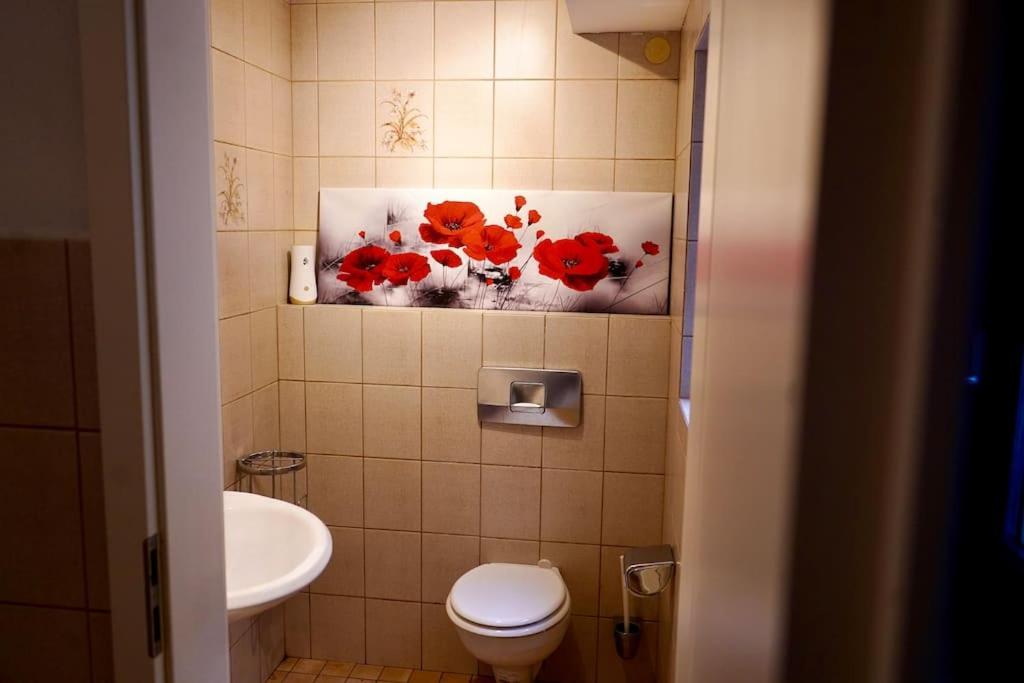Helle Kellerwohnung Im Gruenen Mit Sauna 쾰른 외부 사진